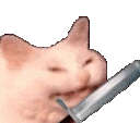 catkatana emote