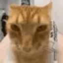 UltraHyperjuh emote