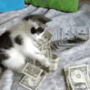 WePaid emote