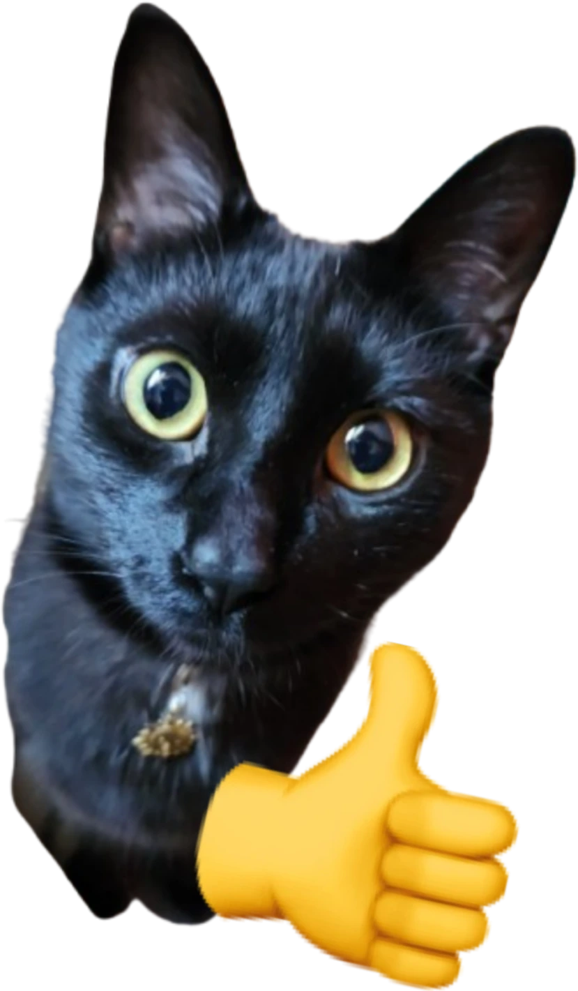 thumbs_up emote