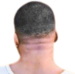 gtabackofhead static emote