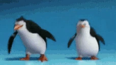 pinguinos emote