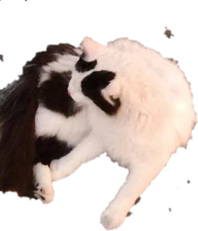 1692348126778 emote