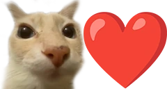 pami emote