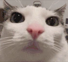 Stare emoji