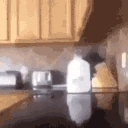 food_fight emoji