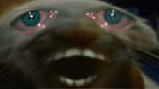 dds emote