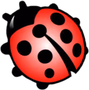 DoesLief emote