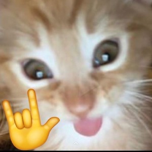 brusnikx avatar