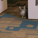 AlrightArrivesToGetPetted emote
