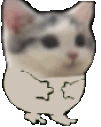 catYump emote