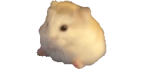 hamstosis emote