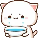 CatCry emote