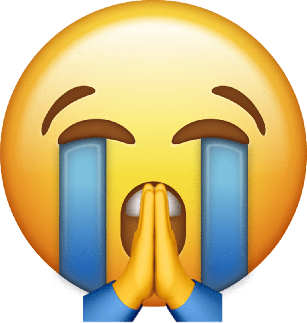 CryingPray emote