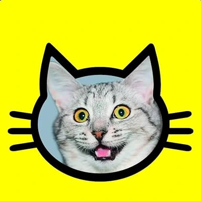 snapcat emote