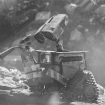 walle emote