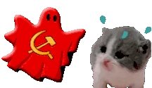 COMMcat emote