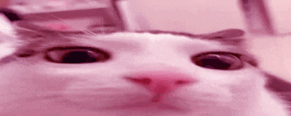 pink animated emote