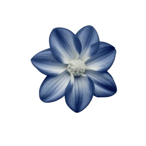 blue_flower emote