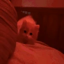 hop emote