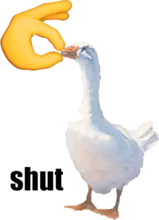 goose emote