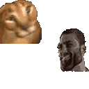 PassTheFloppaDown emoji