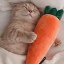 eepingwithacarrot emote