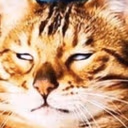 eyeRoll emote