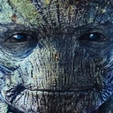 IAmGroot emote