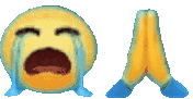 SlowDown animated emote
