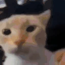 aha11 emote