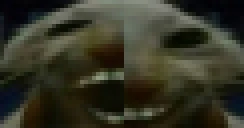 ddxxdd emote