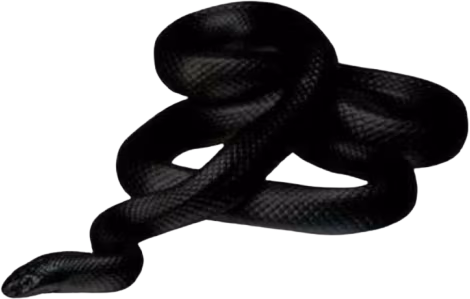 goth_snake emote