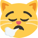 tiredCat emote