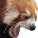 AAAA emote