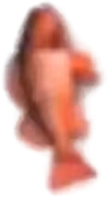 Fish emote