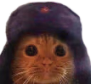 Cyat emote