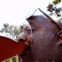 CHUGGING animated emote