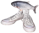 fih emote