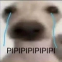 pipipi emote