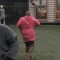 felicia_cannon2 emote