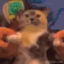 CalicoJam emote