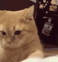 ouch animated emote