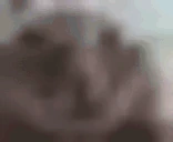 Bitratemuh emote