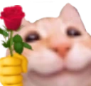 roseshka emote