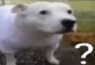questionmark static emote