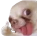 dog_like emote