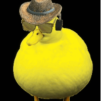 daniron avatar