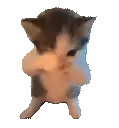SCUBA emote