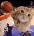 BALLER emote
